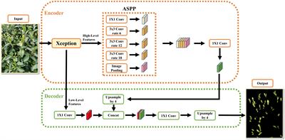 A tea bud segmentation, detection and picking point localization based on the MDY7-3PTB model